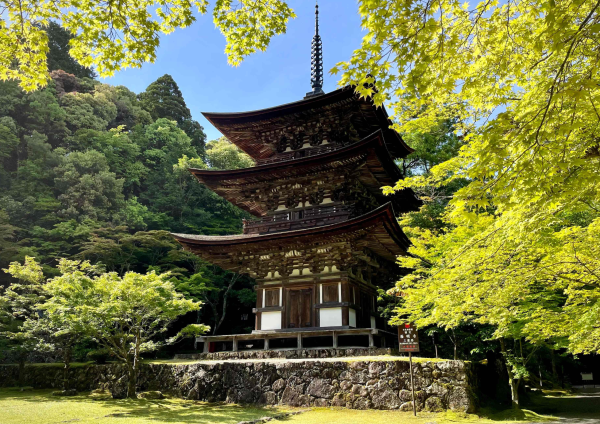 湖東三山 西明寺 ご案内付き 特別拝観