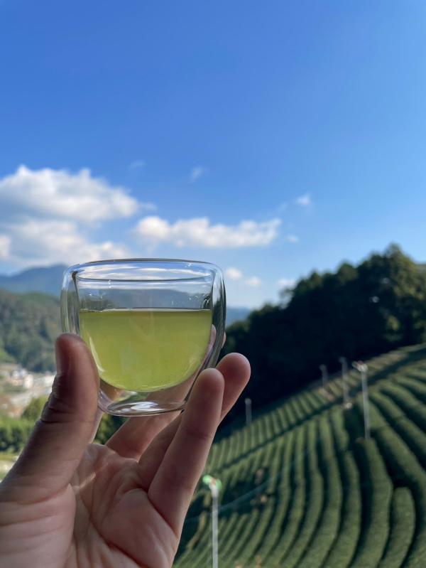 はじまりの紅茶 Terrace cafe の茶畑テラスを体験！