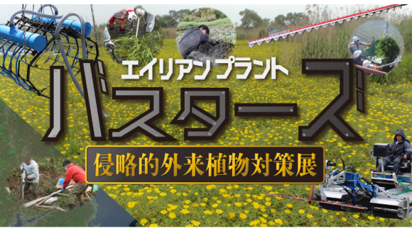 【EX会員価格】外来植物の駆除機械群、集結！「エイリアンプラントバスターズ」観覧券