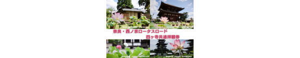 「奈良・西ノ京ロータスロード」四ヶ寺共通拝観券