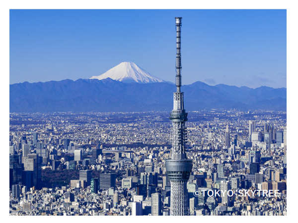東京スカイツリー®満喫プラン（セット入場券「SKYTREE CAFE 350」利用券）