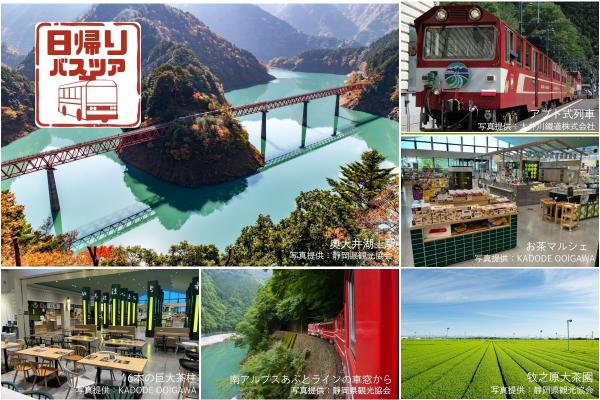 【一度は行ってみたい！】アプト式列車に乗って湖に浮かぶ秘境・奥大井湖上駅へ！日帰りバスツアー（静岡駅発）