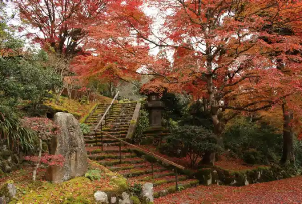 白龍園　日本庭園の貸切観覧