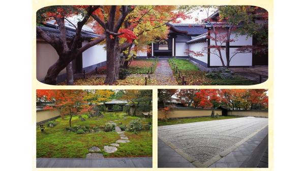 大徳寺黄梅院　秋の特別公開