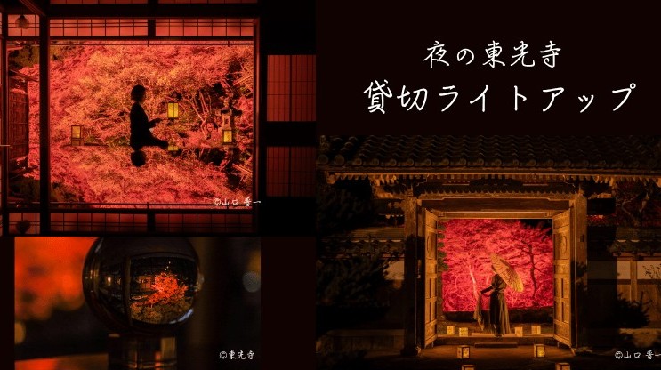 【人混みを気にせず今秋最高の一枚を】東光寺　秋の特別拝観ライトアップ