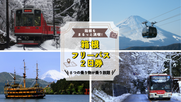 海賊船も！ロープウェイも！箱根エリアの8つの乗り物が乗り降り放題！！