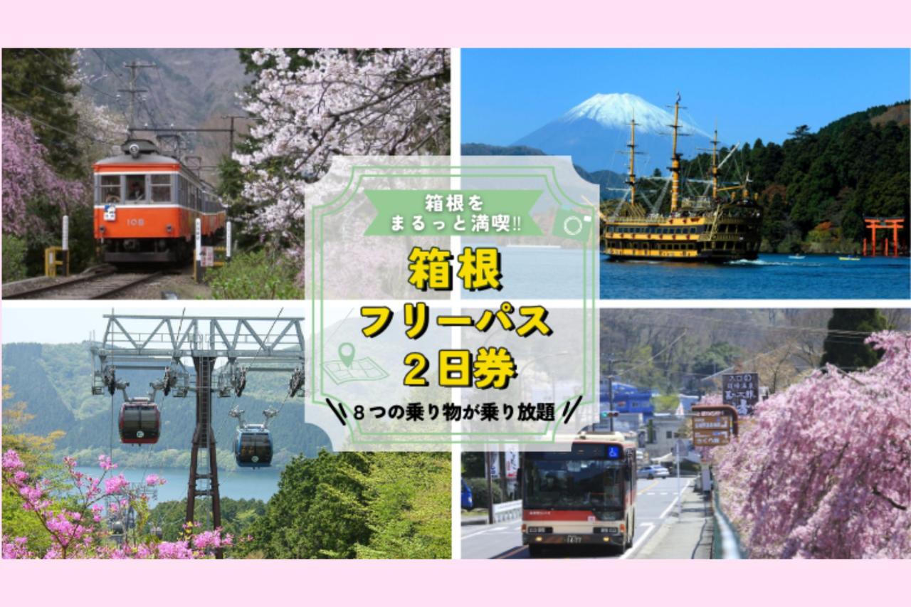 海賊船も！ロープウェイも！箱根エリアの8つの乗り物が乗り降り放題！！