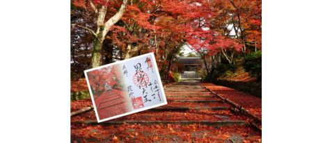 【毘沙門堂×そうだ 京都、行こう。】 オリジナル御朱印授与