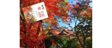 【北野天満宮×そうだ 京都、行こう。】オリジナル御朱印授与と史跡御土居のもみじ苑入苑
