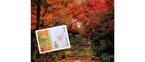 【浄住寺×そうだ 京都、行こう。】 オリジナル御朱印授与