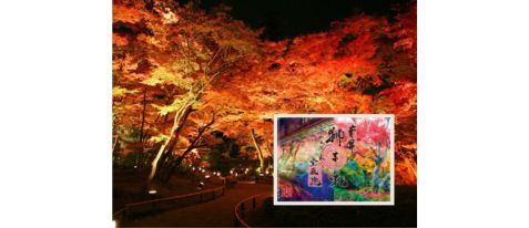 【宝厳院×そうだ 京都、行こう。】 オリジナルデザインの御朱印授与｜夜間特別拝観