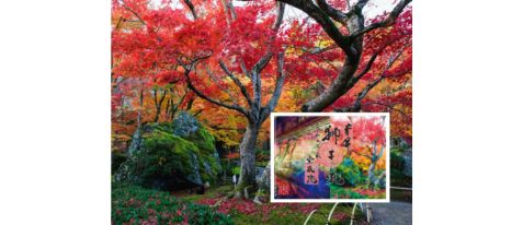 【宝厳院×そうだ 京都、行こう。】 オリジナルデザインの御朱印授与｜日中拝観