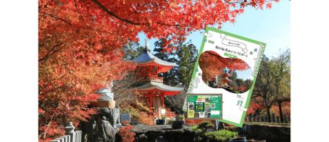 【洛西編】乗るほどお得！秋の社寺めぐりパスポート（「地下鉄・バス1日券」付）