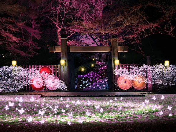 【100円 割引クーポン付】ぎふ灯り物語2026入場券