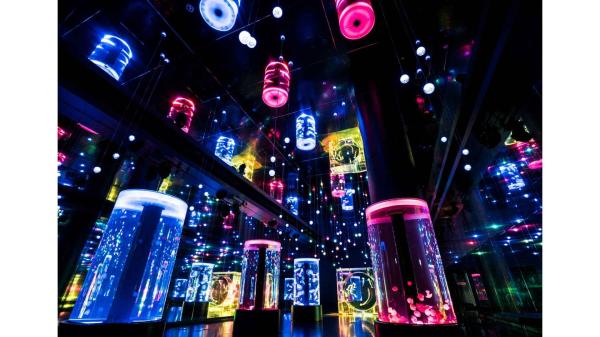 水族館ペア入場券＠マクセル アクアパーク品川