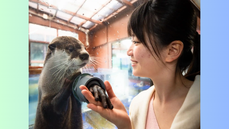 ゼロ距離水族館 伊勢シーパラダイス　入館券
