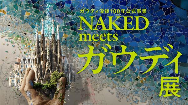 『ガウディ没後100年公式事業 NAKED meets ガウディ展』入場チケット