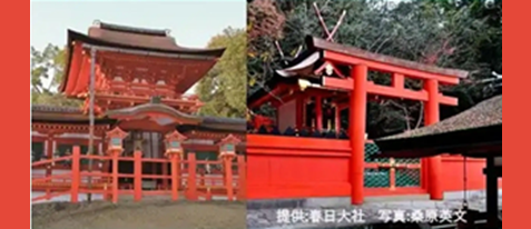 【なら瑠璃絵連動企画】朝の春日大社　特別参拝