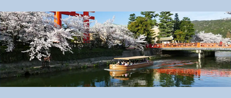 春の京都 琵琶湖疏水をゆく「岡崎さくら回廊十石舟めぐり」