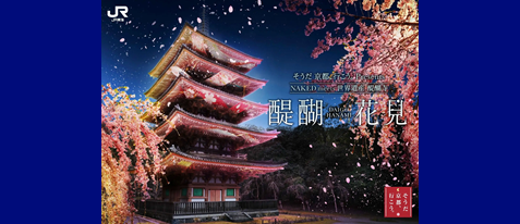 【EXサービス会員限定価格】NAKED meets 世界遺産 醍醐寺ー醍醐花見ー 入場券 ❘ 醍醐寺ライトアップイベント