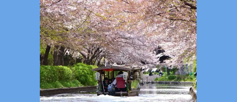 四季折々の景色を楽しむ～京都・伏見十石舟～