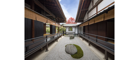 京都　大徳寺黄梅院　春の特別公開