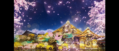 二条城 2026 SAKURA NIGHTS 入城＋二の丸御殿観覧券