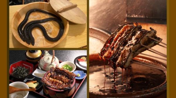 寿司 うなぎ 羽子吾