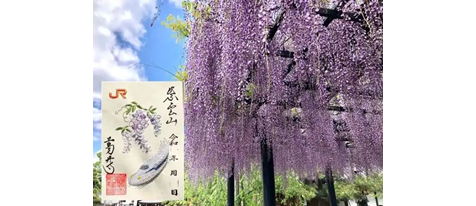 【葛井寺×JR東海】藤の花刺繍御朱印