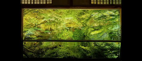宝厳院　夜間貸切特別拝観～青もみじのリフレクションを楽しむ～