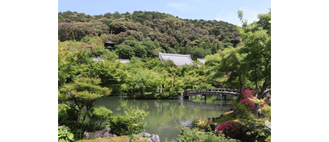 【永観堂×青もみじ】 そうだ 京都、行こう。オリジナル御朱印