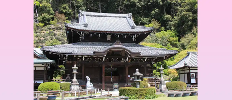 【三室戸寺×紫陽花】 そうだ 京都、行こう。オリジナル御朱印