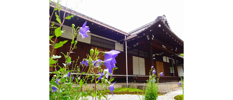 【廬山寺×桔梗】 そうだ 京都、行こう。オリジナル御朱印