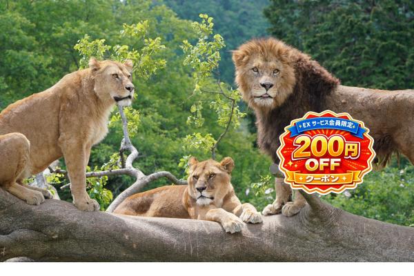 【200円割引クーポン付♪】富士サファリパーク入園チケット