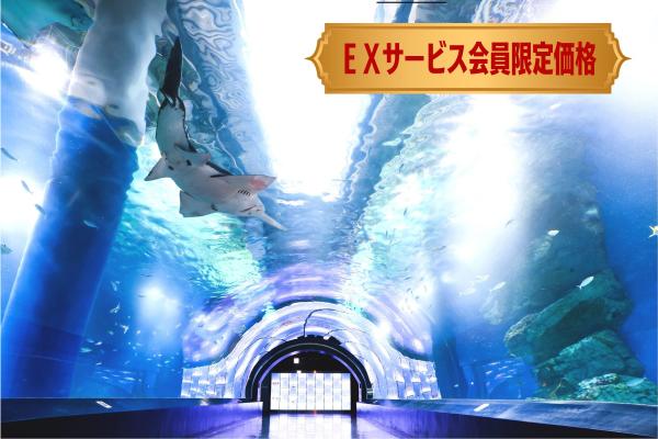 【ＥＸサービス会員限定価格】マクセル アクアパーク品川入場券