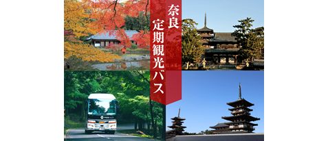 【奈良交通定期観光バス】奈良の世界遺産や名所をご案内!