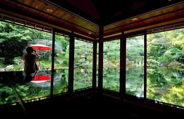 日本最長！比叡山坂本ケーブル往復乗車と庭園のリフレクションが映える旧竹林院拝観