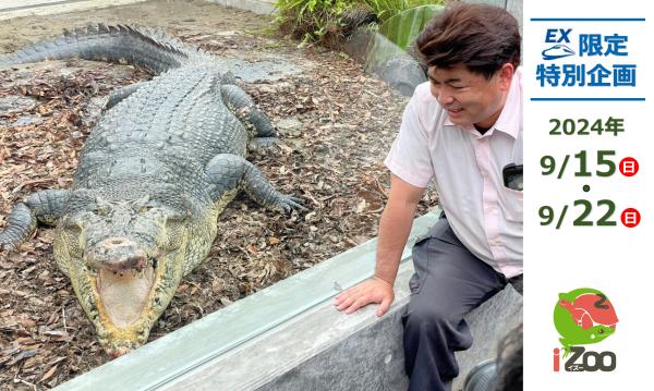 爬虫類スペシャリスト白輪剛史園長によるiZoo特別見学とバックヤードに潜入！