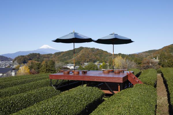 【富士山ビュー】茶畑に浮かぶ「天空のテラス」で味わうクラフトビールor静岡茶