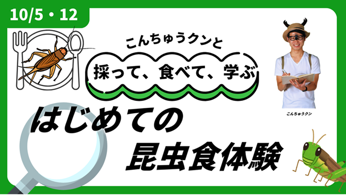 こんちゅうクンと採って、食べて、学ぶ！はじめての昆虫食体験　※イメージ