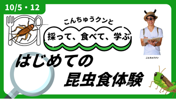 2024年10/5（土）・10/12（土）開催！こんちゅうクンと採って、食べて、学ぶ！はじめての昆虫食体験