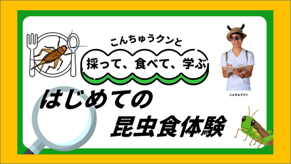 2024年10/5（土）・10/12（土）・13（日）開催！こんちゅうクンと採って、食べて、学ぶ！はじめての昆虫食体験