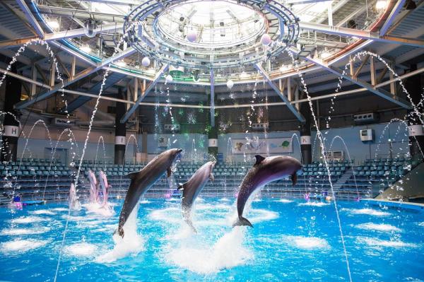 アトラクション体験付き！水族館入場券＠マクセル アクアパーク品川