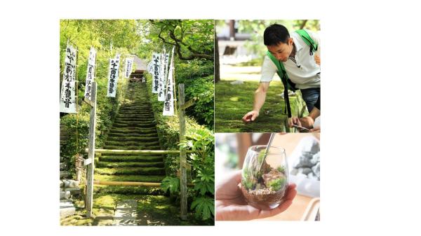 ＜11/9(土),10(日)開催＞【鎌倉最古のお寺「杉本寺」】で苔博士と苔住職と一緒に楽しむ苔体験