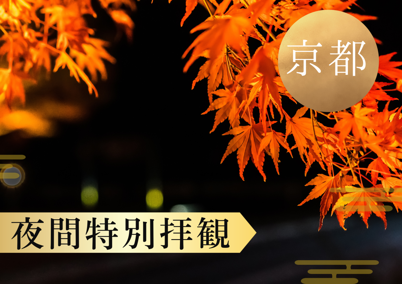【JR東海】京都　夜間特別拝観