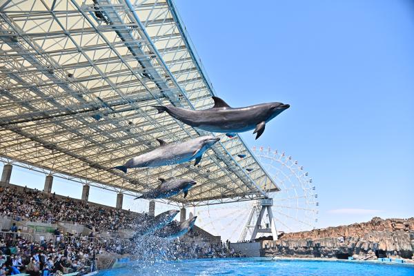 【名古屋港水族館】入館チケット（オリジナルステッカー付）