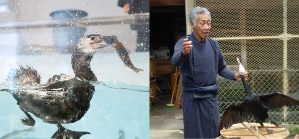 【1300年以上の歴史と伝統】ぎふ長良川鵜飼の一端を楽しむ特別イベント＠長良川うかいミュージアム