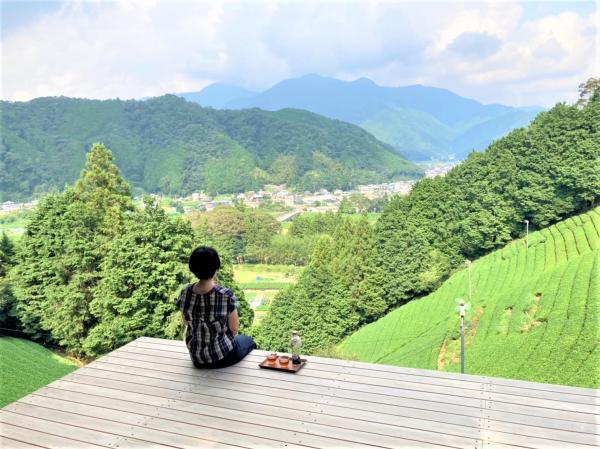 見晴らしの茶畑テラスで“静岡茶”の飲み比べ