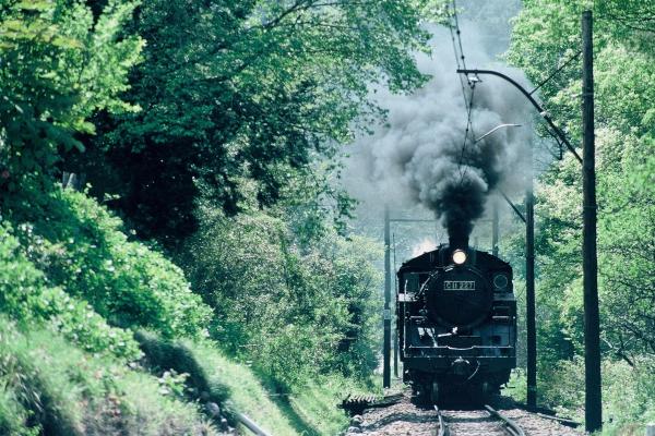 SL列車に乗って、大井川沿線の旅へ！！（大井川鐵道）