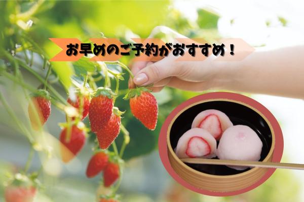 旬の味覚狩り「いちご狩り」＆「いちご大福」作り体験！